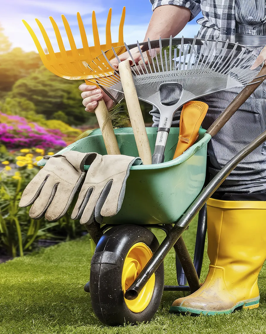 Asafe Manutenção de Jardins