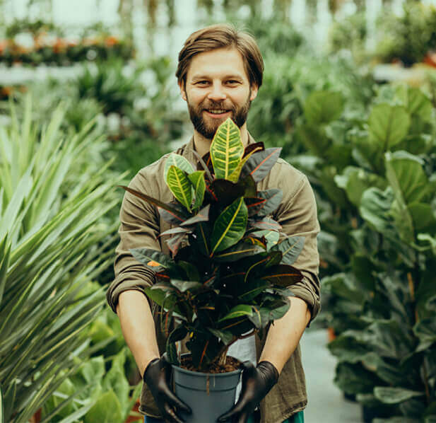 Asafe Manutenção de Jardins