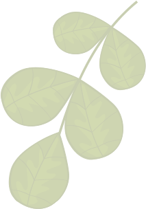 Asafe Manutenção de Jardins