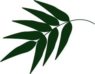 Asafe Manutenção de Jardins