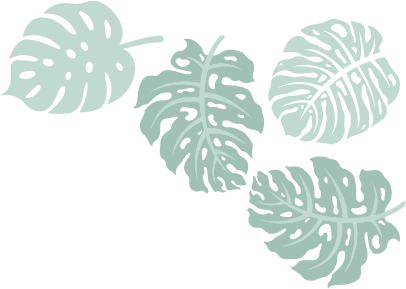 Asafe Manutenção de Jardins