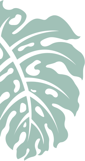 Asafe Manutenção de Jardins