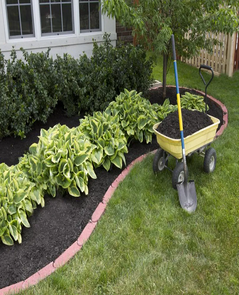 Asafe Manutenção de Jardins