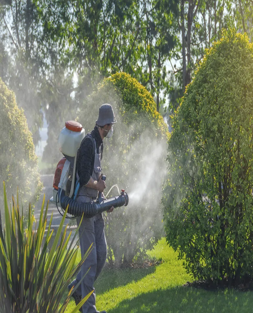 Asafe Manutenção de Jardins